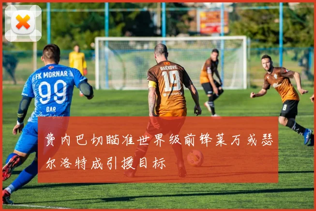费内巴切瞄准世界级前锋莱万或瑟尔洛特成引援目标