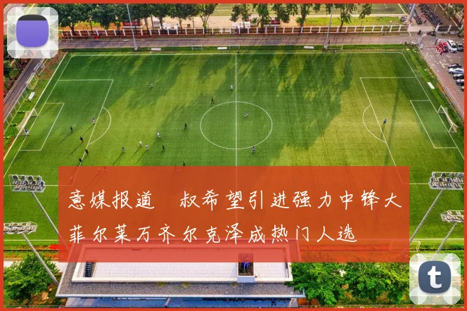 意媒报道囧叔希望引进强力中锋大菲尔莱万齐尔克泽成热门人选