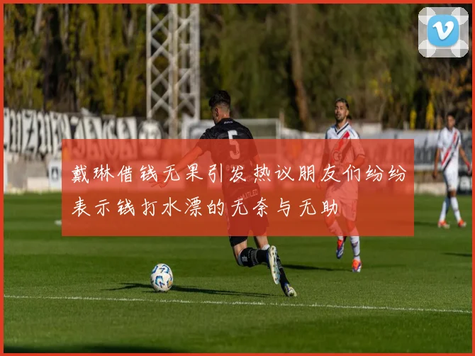 戴琳借钱无果引发热议朋友们纷纷表示钱打水漂的无奈与无助